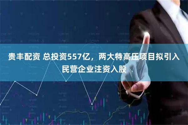 贵丰配资 总投资557亿，两大特高压项目拟引入民营企业注资入股